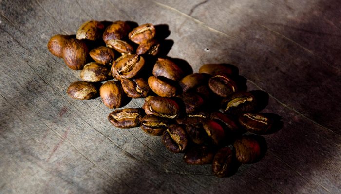 Pause café dans les Yungas