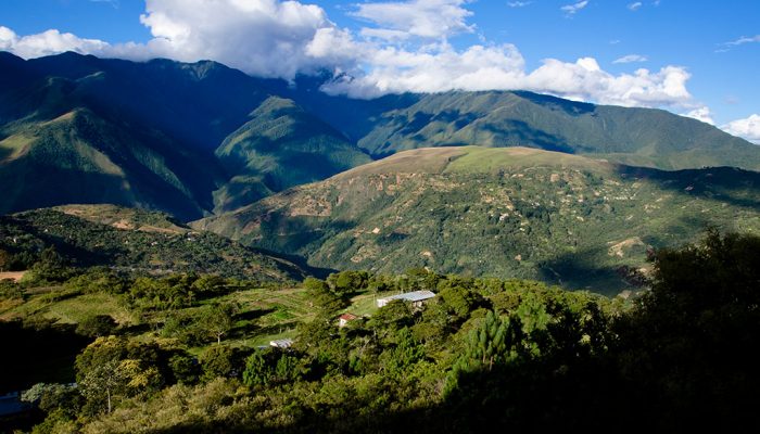 LA PAZ - FINCA SHANTI - COROICO  