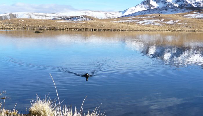 LA PAZ - LAGUNA KHOTIA -  LAGUNA AJWANI