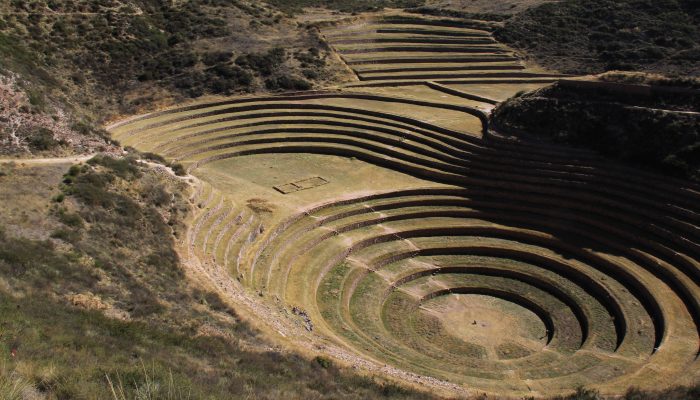 Cusco - Awanacancha - Pisac - Ollantaytambo - Aguas Calientes 