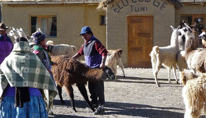 Thaki Bolivie