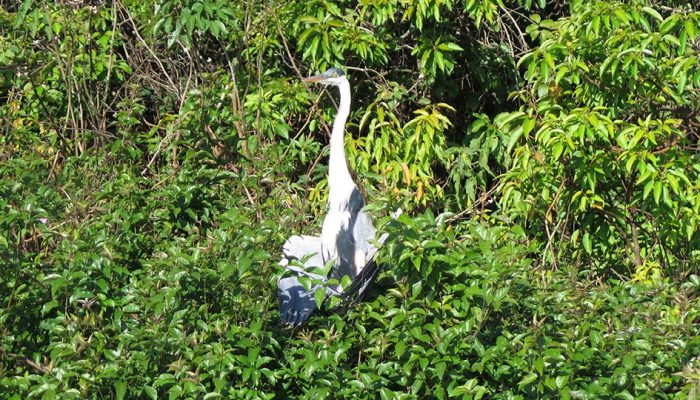 PARC MADIDI 