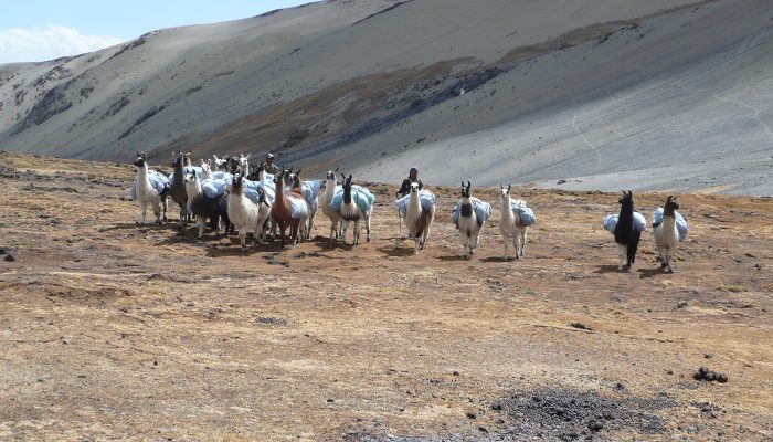 LAGUNA CHISCACALLIUANI - CRUZ PAMPA - LA PAZ  