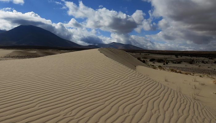 TARIJA - LAGUNAS TAJZARA & EL ARENAL  - TARIJA