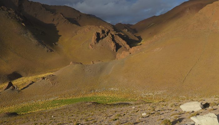 CAMP I QUEWAR – SANTA ROSA DE LOS PASTOS – SAN ANTONIO DE LOS COBRES