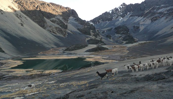 LAGUNA CHISCACALLIUANI - RIO CHACHA KUMANI - RIO PURA PURANI - VALLÉE JAYLLAWAYA 