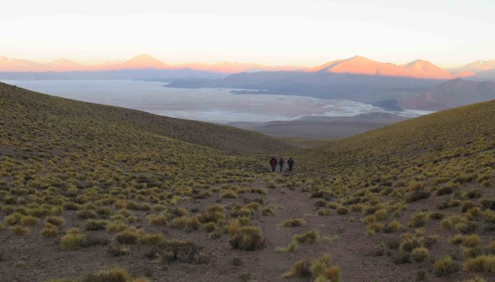 Thaki Bolivie