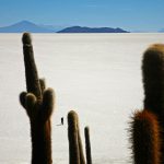 salar uyuni@AT