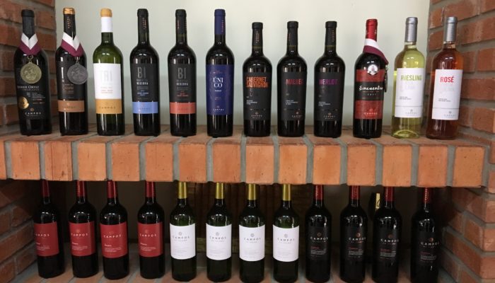 TARIJA – TOUR DES BODEGAS– TARIJA 