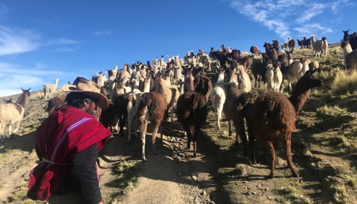 TUNI / JOURNÉE DANS LA COMMUNAUTÉ - LA PAZ 