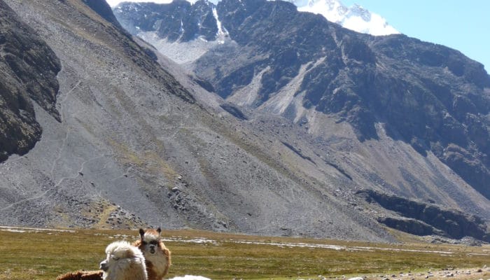 CAMP DE BASE CHACHACOMANI (4470 m alt.) - CRUZ PAMPA (4420 m alt.)- LA PAZ (3600 m alt.)