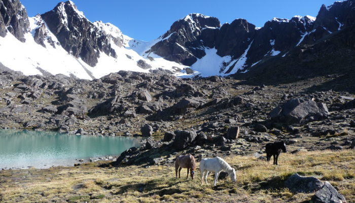 Thaki Bolivie