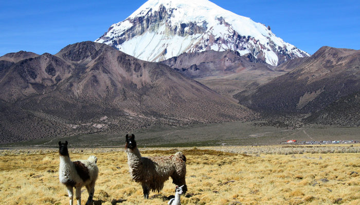 Ascension du Sajama