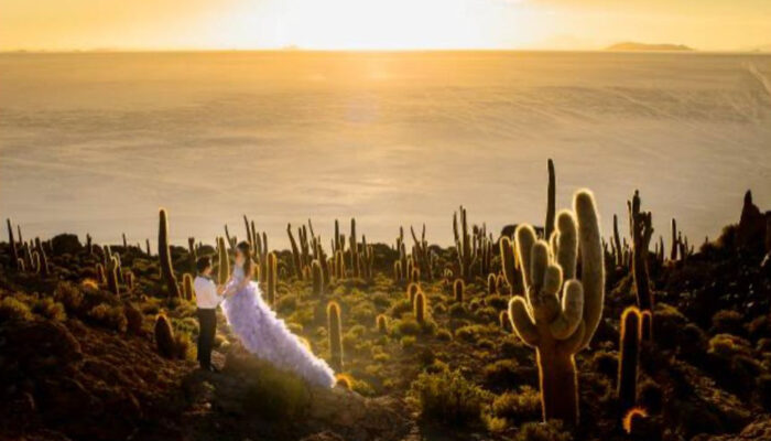 COLCHANI – SALAR D’UYUNI – COLCHANI