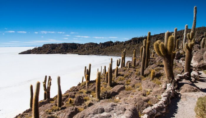 SAN PEDRO DE QUEMEZ - GROTTES DES GALAXIES - SALAR D’UYUNI - TAHUA 