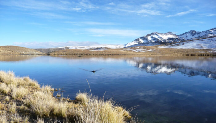  LA PAZ - LAGUNA KHOTIA - LAGUNA AJWANI