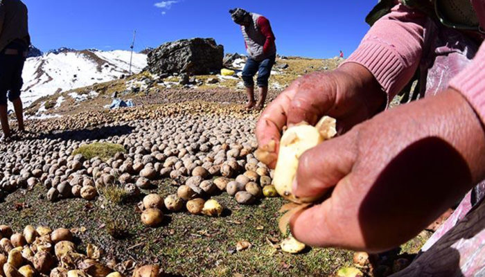 La Paz, future destination gastronomique?