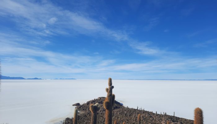 TAHUA / SALAR / ISLA INCAHUASI