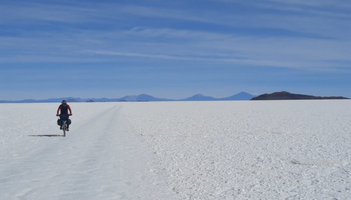 ISLA INCAHUASI / COLCHANI 