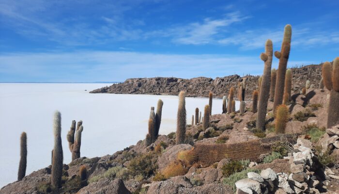 TAHUA-ISLA INCAHUASI