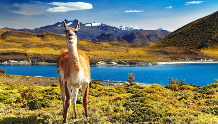 TORRES DEL PAINE