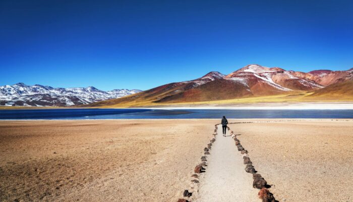 SAN PEDRO DE ATACAMA / SALAR ET LAGUNES ALTIPLANIQUES