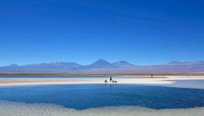 SAN PEDRO DE ATACAMA / TOUR ARCHEOLOGIQUE ET LAGUNE CEJAR