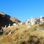 Avis voyageur Bolivie